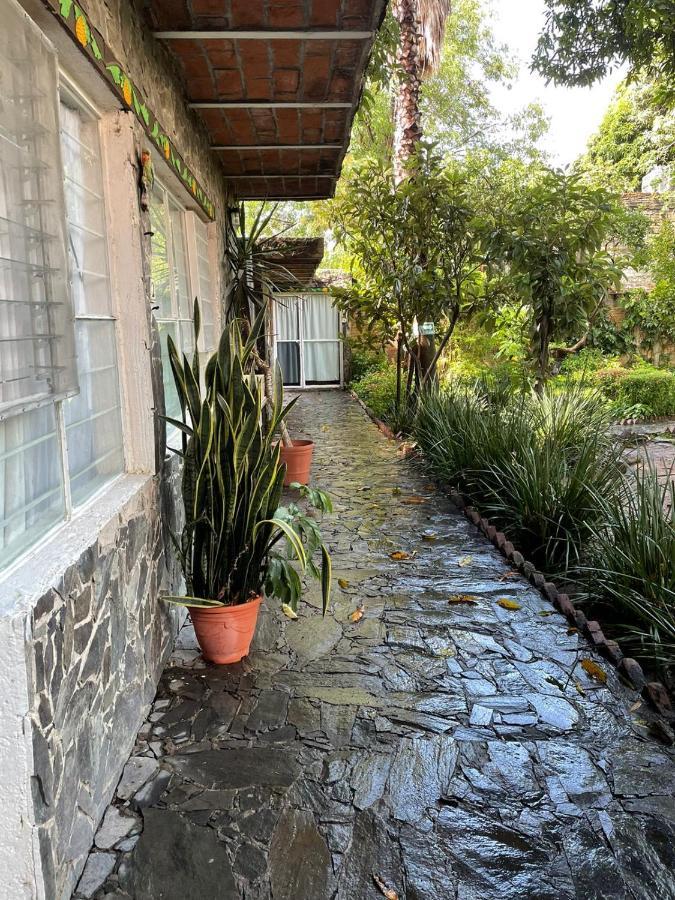 La Casa De Los Mangos Ajijic San Antonio Tlayacapan Exterior foto
