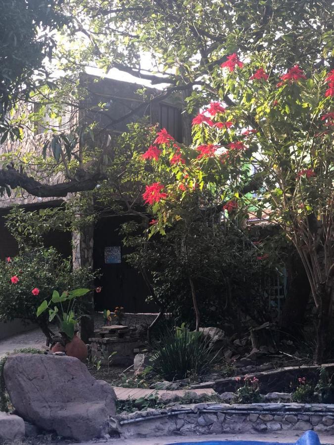 La Casa De Los Mangos Ajijic San Antonio Tlayacapan Exterior foto